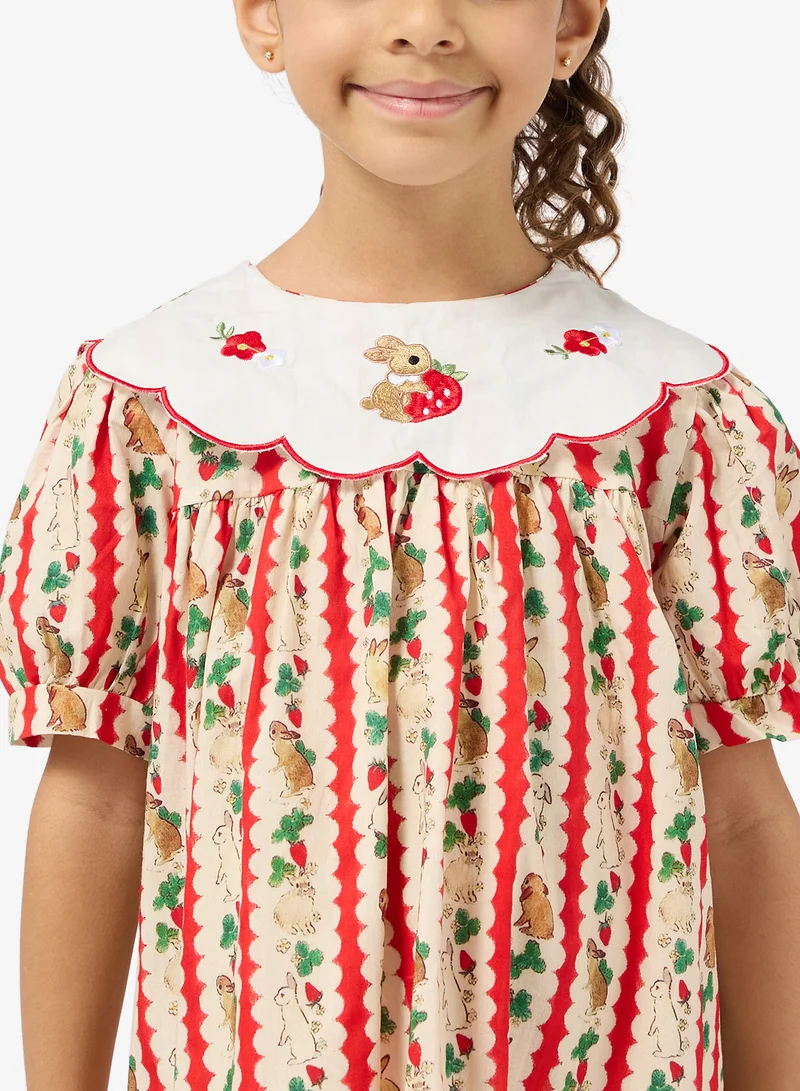 Pinata collar dress